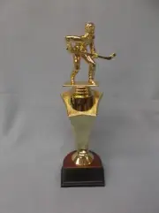 street ball hockey star riser gold trophy award weighted base