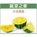 【蔬菜之家滿額免運】I02.小玉西瓜種子3顆(新冠品種國實球型,果重3公斤左右,皮色綠色底子青黑色條斑,肉色晶黃)水果類