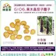 【綠藝家】G106.黑水晶茄子種子15顆(F1) 本品種耐濕熱，種植適應性廣，產量高、品質佳。 茄子種子
