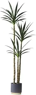 Fake Tree for Office Artificial Plant Fake Tree with Pot Faux Plants for Home Office Faux Tree for Indoor Outdoor Fake Plants Artificial Tree Home Decor (Size : 172cm)