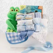 Homecoming Greetings New Baby Boy Gift Basket with Plush Frog Toy & More