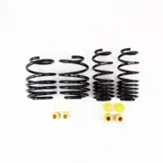 RS-R Fits 2023+ Honda Civic Type R (FL5) Down Sus Springs