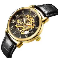 在飛比找Yahoo!奇摩拍賣優惠-現貨男士手錶腕錶歐綺娜ORKINA手錶鏤空夜光自動機械錶男錶