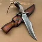 Handcrafted Damascus Hunting Fixed Blade Knife Survival Combat Stag Horn Handle