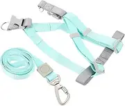 Gatuida Adjustable Dog Harness and Leash Set for Small to Medium Dogs Comfort and Durability