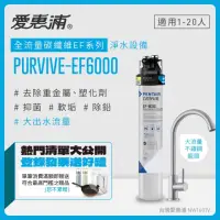 在飛比找momo購物網優惠-【EVERPURE 愛惠浦】PURVIVE-EF6000生飲