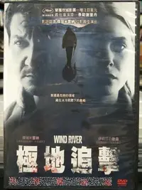 在飛比找Yahoo!奇摩拍賣優惠-挖寶二手片-Y08-493-正版DVD-電影【極地追擊】-異