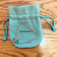 在飛比找蝦皮購物優惠-Tiffany&Co. 迷你雙色雙心純銀項鍊