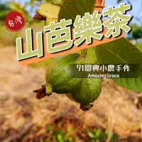 在飛比找蝦皮購物優惠-無糖山芭樂茶🇹🇼71恩典土芭樂茶21入 小農手作番石榴茶 台