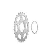 Pinion Replacement 29d Last Position With Washer Campagnolo 11 Speed PM11CAU29 M