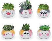 Cat Succulent Pots with Drainage Hole Indoor Succulent Planters Cactus Planter Mini Cute Ceramic Cat Pots for Home Office Desktop Decoration 6 Pieces