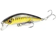 Hard Bass Fishing Lure with 3D Eyes, 6 Hooks, Lifelike Crankbait for Saltwater and Freshwater