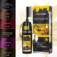 在飛比找Yahoo!奇摩拍賣優惠-熱銷# 現貨 carthaea草本植物染髮劑 一梳彩 蓋白髮