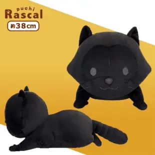 小浣熊 Rascal 拉斯卡爾 日本限定 趴姿 黑色 純黑 絨毛玩偶 景品 娃娃 生日 送禮 世界名作劇場 稀有 限量版