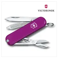 在飛比找momo購物網優惠-【VICTORINOX 瑞士維氏】Tasty Grape 經