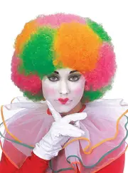 Neon Clown Adults Rainbow Afro Costume Wig