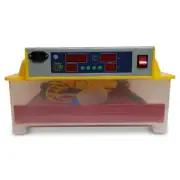 Electric 60 Egg Incubator Accessories Hatching Eggs Chicken Quail Duck