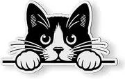 Tuxedo Cat Peeking Magnet for Car Fridge Locker - 5" Kitty Magnet