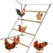 Chicken Perch Chicken Climbing Frame Cat Climbing Frame Chicken Roosting Ladder