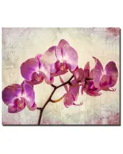 Ready2HangArt Painted Petals XVIII 2 Piece Wrapped Canvas Wall Art Set