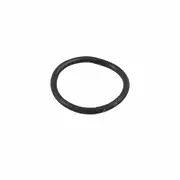 Dawn to Dusk Dirt Mask O-Ring