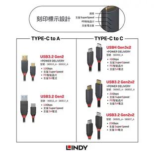 LINDY 林帝 36900~36902 USB 3.2 GEN 2 TYPE-C 公 TO 公 傳輸線+PD智能電流晶