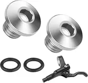Set of 2 Bicycle Bleed Screws with O-Ring | Oil Cylinder Lid Screw Made of TC4 Titanium Alloy (M5 x 8 mm) | Compatible with Shimano XT, SLX, Zee, Deore LX | Lightweight Brake Screw