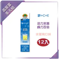 在飛比找PChome24h購物優惠-【SUNLIFE森萊富】鋅＋C＋E發泡錠(水蜜桃口味)90g