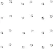[NC] 24Pcs Crystal Magnetic Stud Earrings Stainless Steel Cubic Zirconia Non Piercing Tragus Magnetic Nose Stud Fake Ear Nose Lip Ring Clip Non Piercing Jewelry for Women Men-3mm white, Crystal