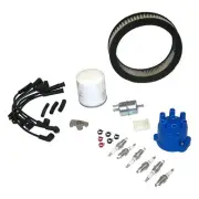 TK32 Tune Up Kit for J Series Jeep Cherokee Grand Wagoneer J10 J20 1987-1988 (for: Jeep)
