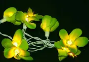 Green Frangipani Tropical Theme Party LED Lights - 20 Bulb battery string
