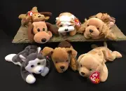 8 Ty Beanie Baby Dog Breeds Bones Tuffy Wrinkles Spunky Fetch Nanook