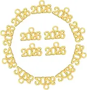 JOINPAYA 100pcs for Earrings Zinc Alloy Keychain Charm Jewelry Making Charm Small Charms