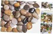 40lbs River Rocks, 1-2Inch Decorative Ornamental Natural Pebbles for Garden