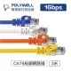 ☆電子花車☆POLYWELL 寶利威爾 RJ-45 CAT.6 福祿克 24AWG 高速網路線 網路線 橘色 3M