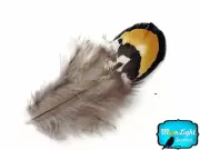 1 Pack - GOLDEN YELLOW Reeves Venery Pheasant Plumage feathers 0.10 oz. Craft