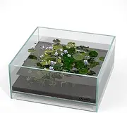LANDEN Glass Air Aquarium Tank Multi-SceneLandscape Aquarium, 1.6Gallon Rimless Low Iron Shallow Tank,W10.6×D10.6×H4.7 in(27x27x12cm) 5mm Thickness