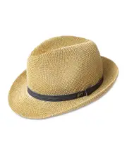 Bailey of Hollywood Elliot Poet Fedora