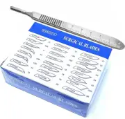 100 Scalpel Blades #10A Surgical Dental ENT Instruments with Free #3 Handle