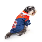 The Stubby Club Nrl Sydney Roosters Pet Jersey