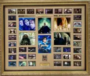 HARRY POTTER RADCLIFFE + GRINT WATSON FIENNES RICKMAN COLTRANE GAMBON FRAMED COA