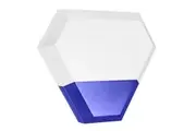 IntelLink Wireless Alarm External Strobe Siren | INTWS901
