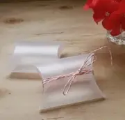 100x Semi-Clear Matte Pillow Favor Boxes Wedding Birthday Party Candy Gift Boxes