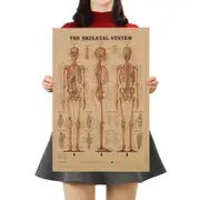 Human Skeleton Diagram Kraft Paper Wall Art Print (42x29cm)