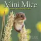 2021 Mini Mice Mini Wall Calendar