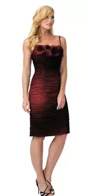 Adrianna Papell Ruched Ombre Wine Rosette Ruched Cocktail Dress 6