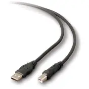 Belkin USB Extension Cable - USB for Printer, Scanner, Hard Drive - 16 ft - 1