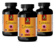 Natural Echinacea Purpurea Extract Pills - Immune System Help - 300 Capsules