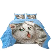 Funny Cats Art Frustrated Grey Kitty Coverlet