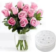 Spiral Ikebana Stem Holder, Flower Arrangement Frogs for...